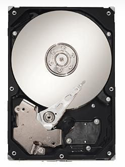 Disque Dur Interne CoreParts MS-ST375033NS